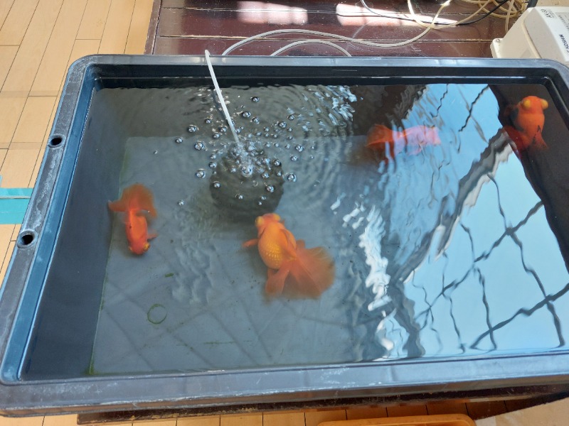 T_aroさんのつる乃湯 八代店のサ活写真