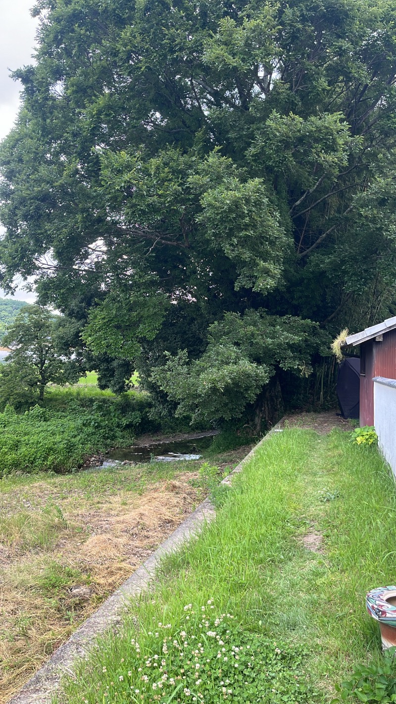 ばささんのSAUNA STATIONのサ活写真