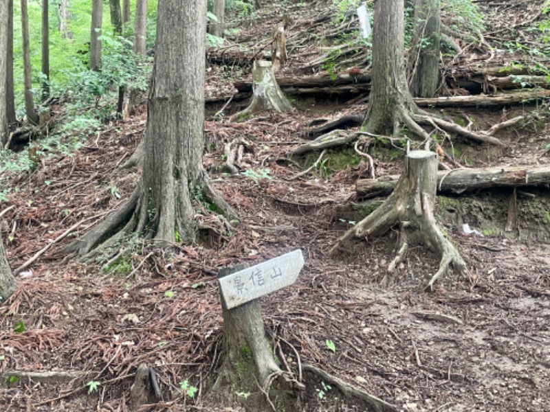 hsmさんの京王高尾山温泉 極楽湯のサ活写真