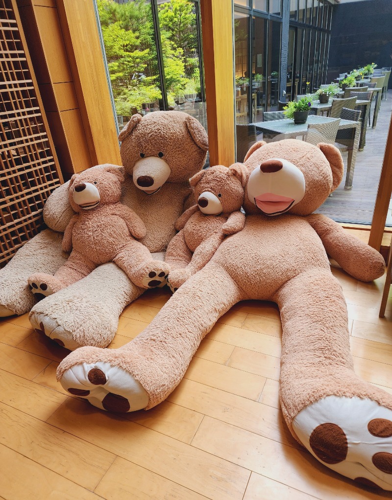 れんさんの綱島源泉 湯けむりの庄のサ活写真