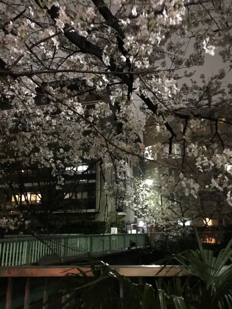 ザウZさんの藤の湯のサ活写真