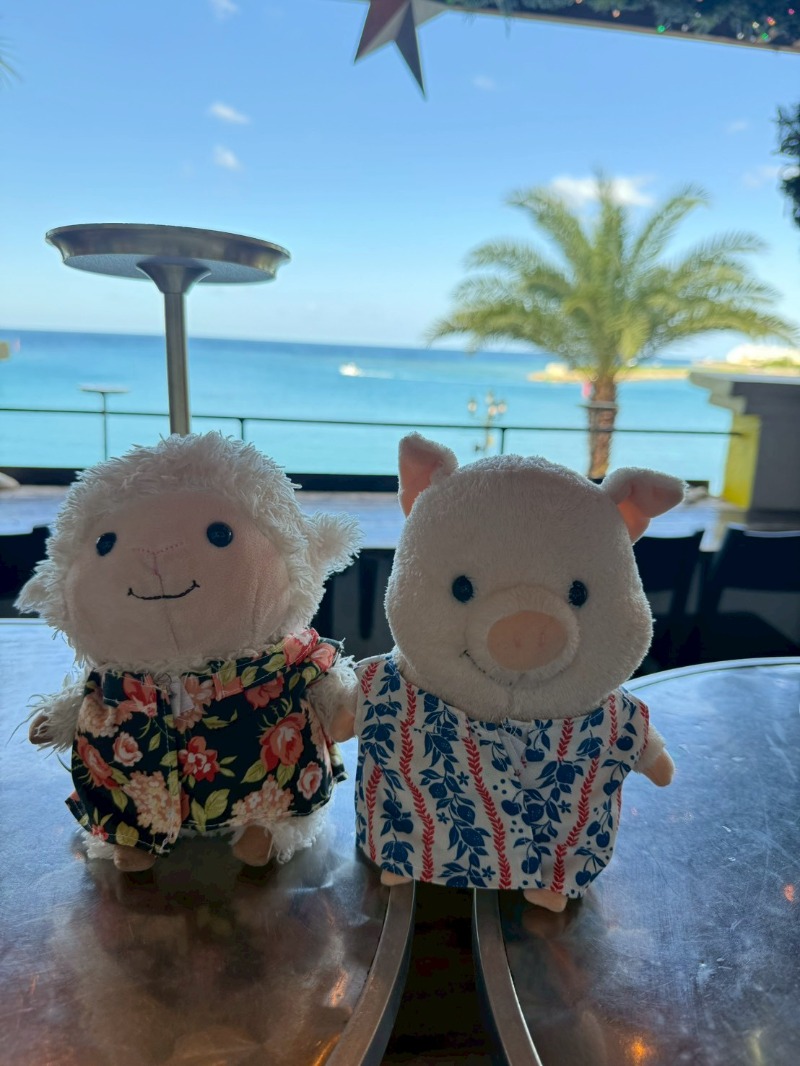 パンくんさんの海人の湯 (ロワジールスパタワー那覇)のサ活写真