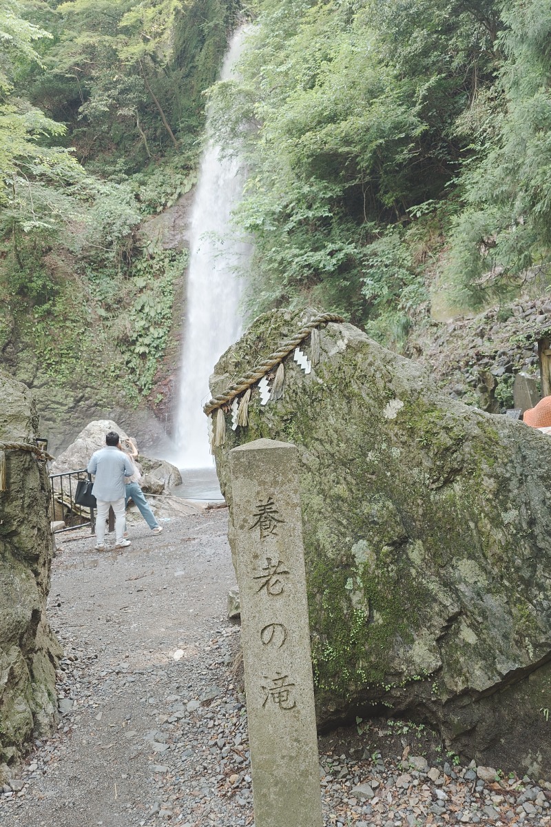パンくんさんの養老たまゆらのサ活写真