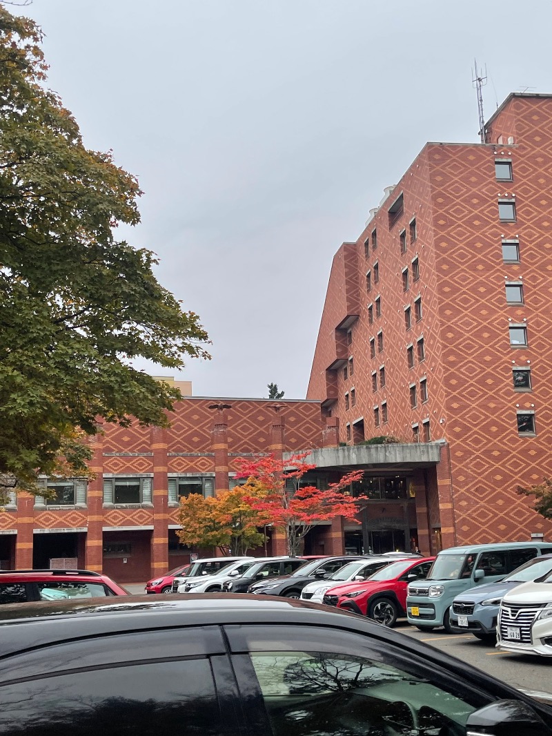 ヒビヨシさんの森のスパリゾート 北海道ホテルのサ活写真