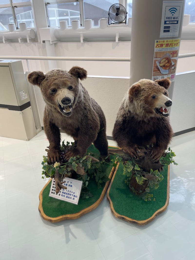 ヒビヨシさんの吹上温泉保養センター 白銀荘のサ活写真