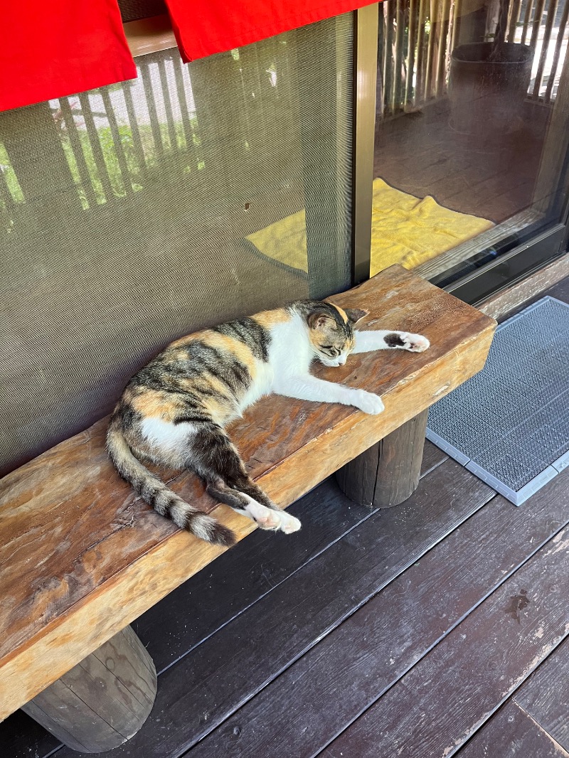 kaiyaさんの亜熱帯サウナのサ活写真