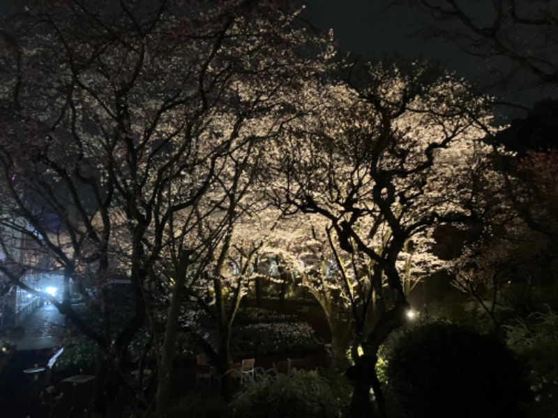 なかはんさんのよみうりランド眺望温泉 花景の湯のサ活写真