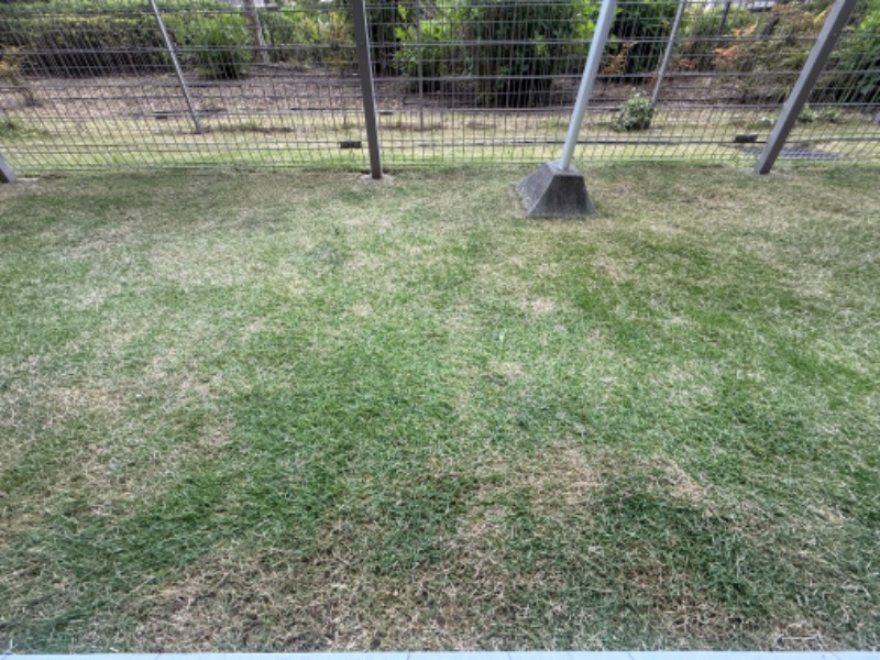 空之輔さんのセントラルウェルネスクラブ能見台のサ活写真