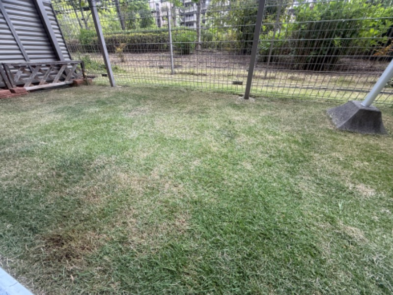 空之輔さんのセントラルウェルネスクラブ能見台のサ活写真