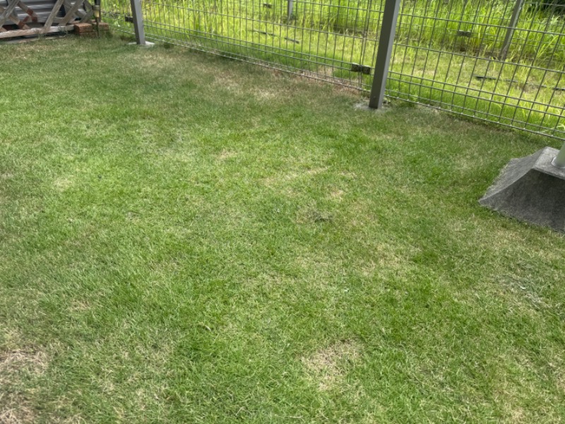 空之輔さんのセントラルウェルネスクラブ能見台のサ活写真