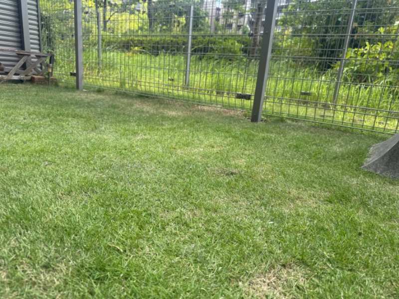 空之輔さんのセントラルウェルネスクラブ能見台のサ活写真