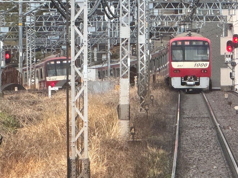 空之輔さんのセントラルウェルネスクラブ能見台のサ活写真