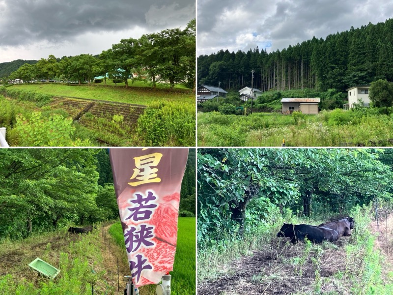 どらさんのかわだ温泉 ラポーゼ かわだのサ活写真