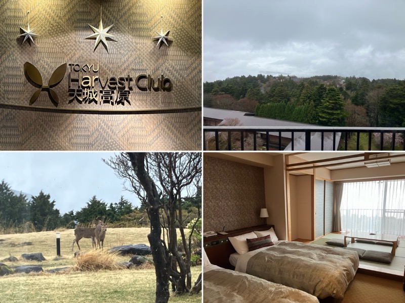 どらさんの東急ハーヴェストクラブ天城高原(ホテルハーヴェスト天城高原)のサ活写真