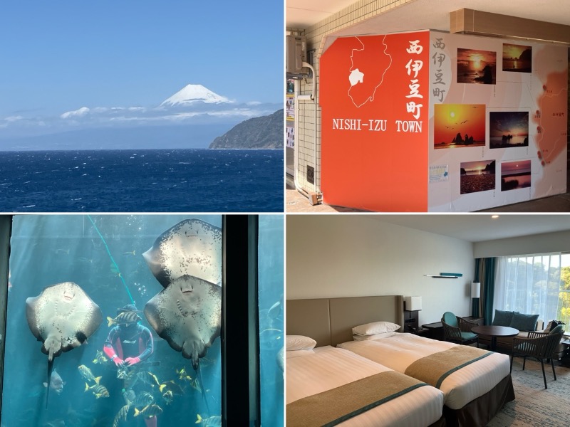 どらさんの下田東急ホテルのサ活写真