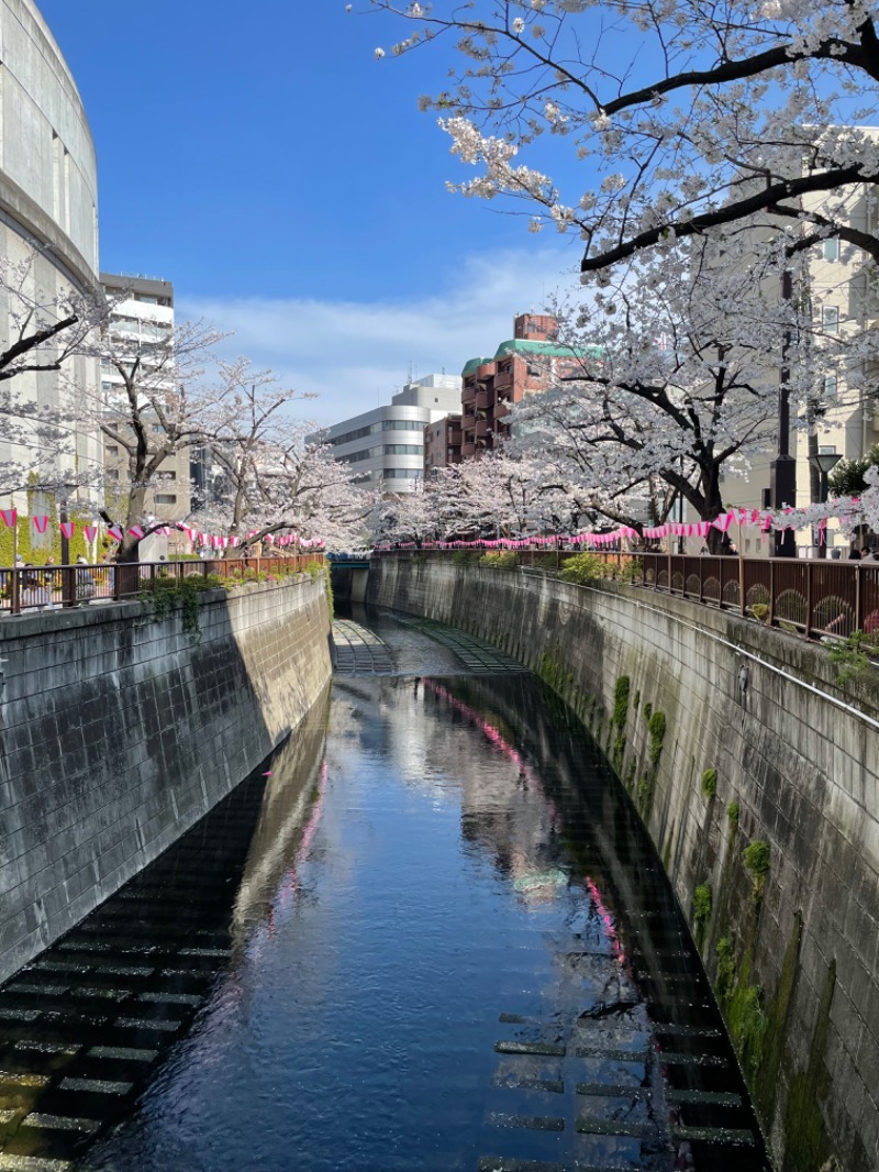 元おひさまさんの文化浴泉のサ活写真