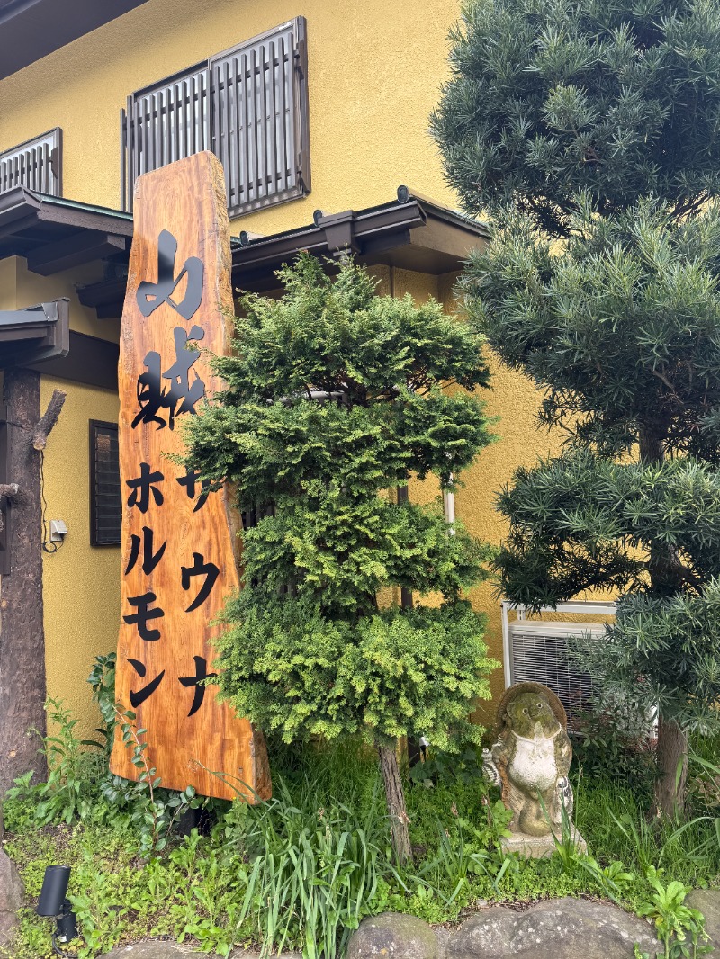 唐揚げの錬金術師さんの山賊サウナのサ活写真