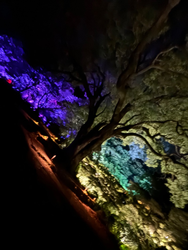 まつりさんの御船山楽園ホテル  らかんの湯のサ活写真