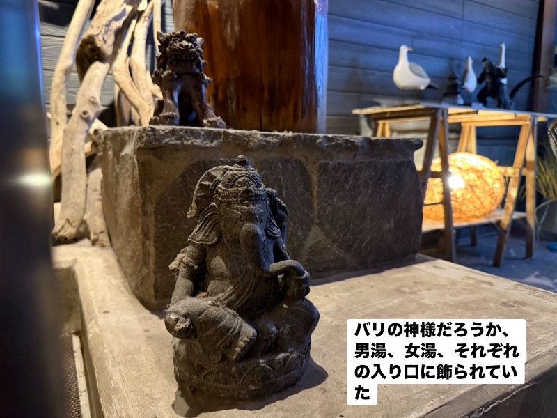 ワニ子さんのまるた屋温泉 西方の湯のサ活写真