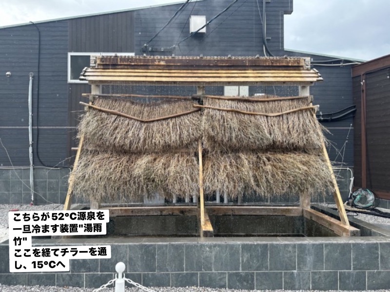 ワニ子さんのまるた屋温泉 西方の湯のサ活写真