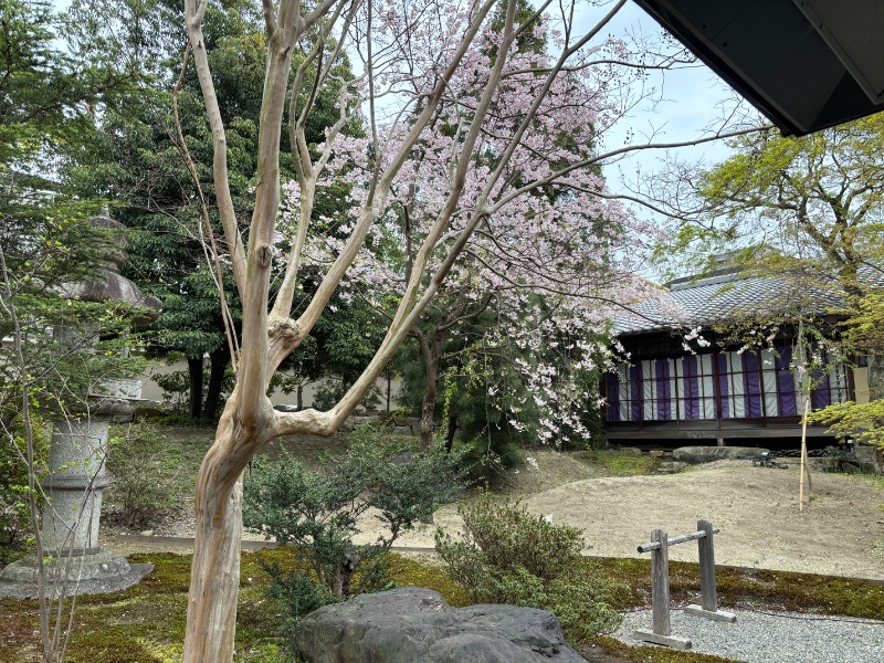 backpackerさんのスポーツクラブ&サウナスパ ルネサンス 久宝寺24のサ活写真