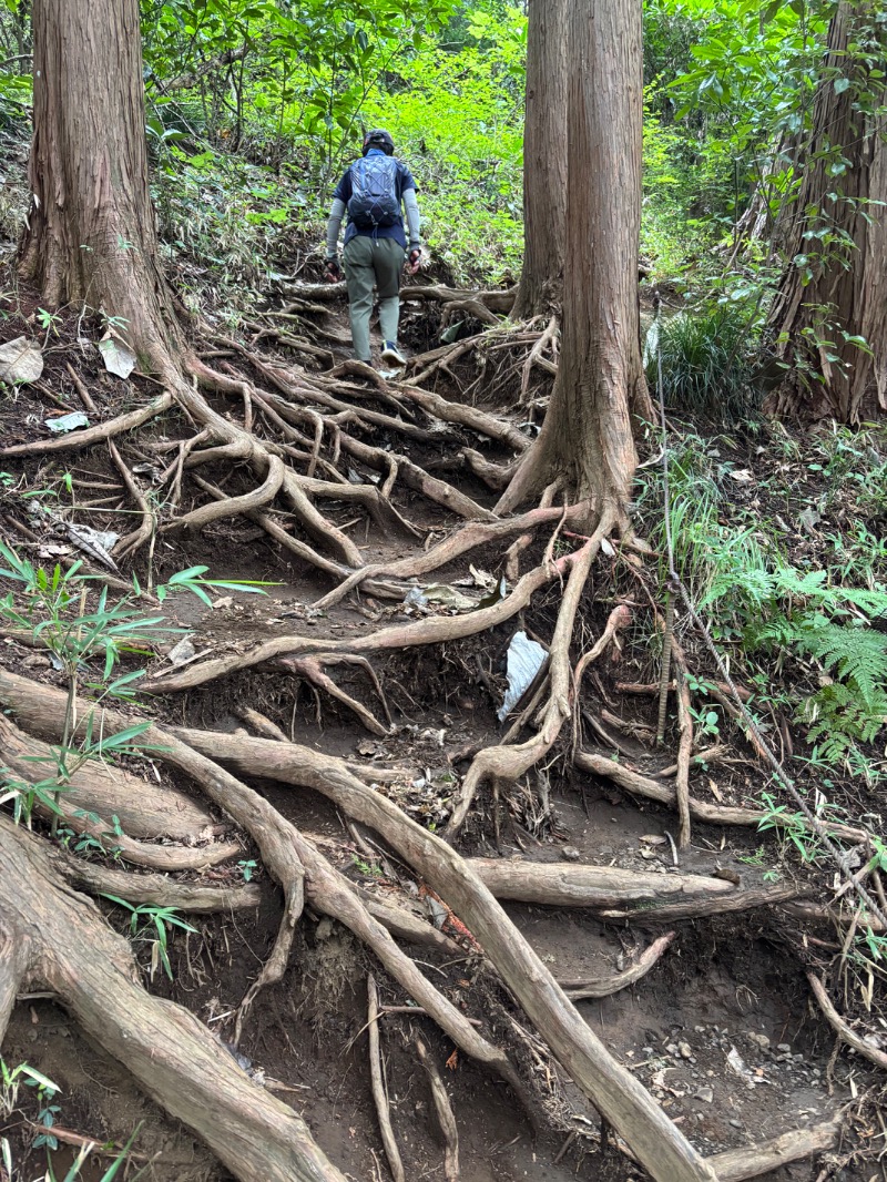 backpackerさんの京王高尾山温泉 極楽湯のサ活写真