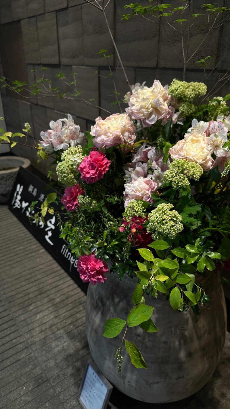 てぃーが🐯さんの綱島源泉 湯けむりの庄のサ活写真