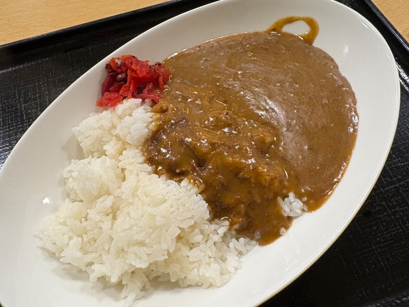 ほぐし肉カレー