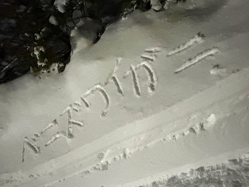 水冷さんのニコーリフレ SAPPOROのサ活写真