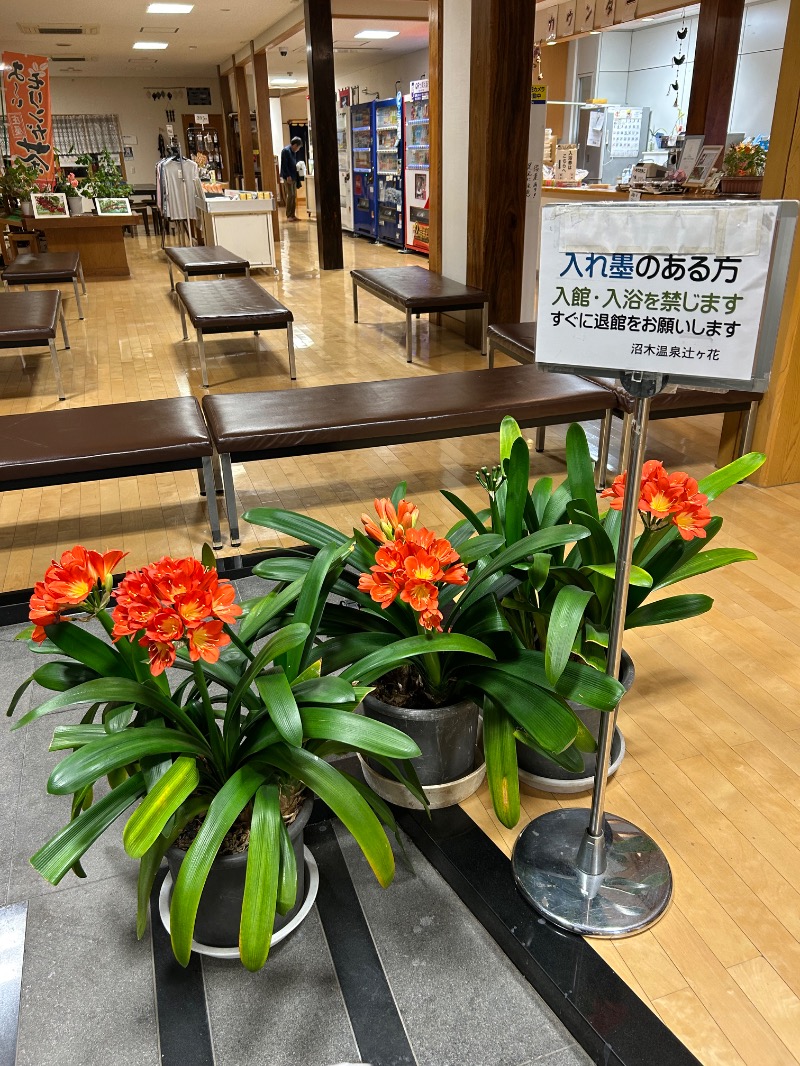 Meets。さんの沼木温泉 辻ヶ花のサ活写真