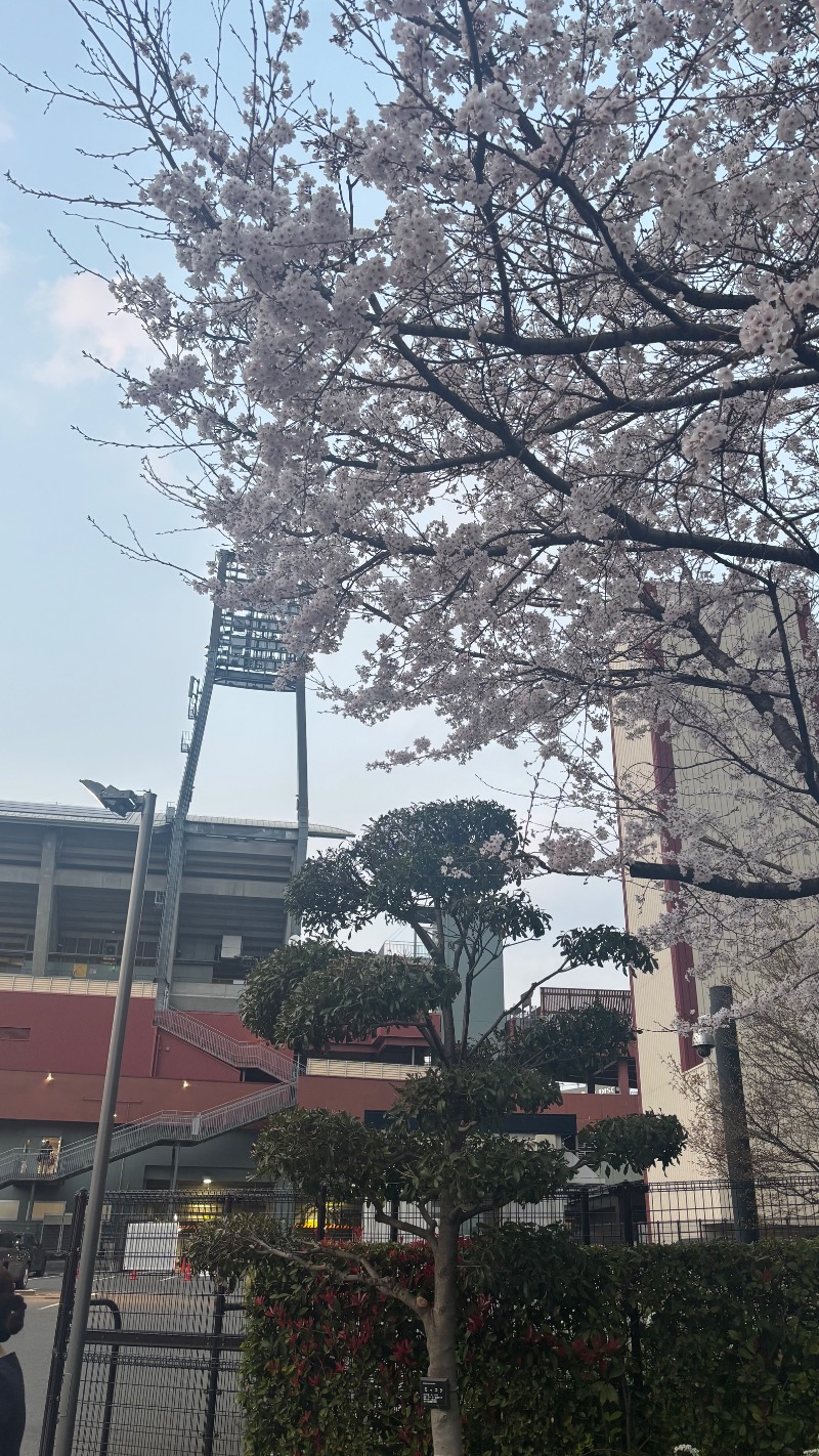 Freude フロイデさんのスポーツクラブ&サウナスパ ルネサンス 広島ボールパークタウン24のサ活写真