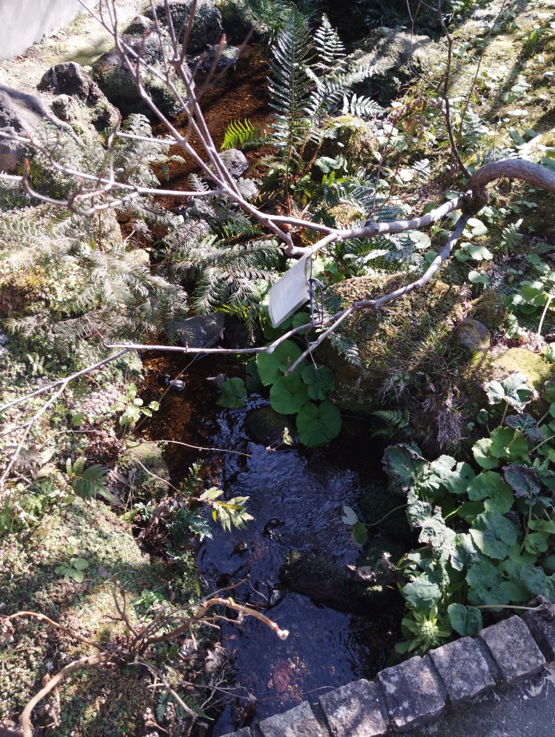 へむさんの箱根湯寮のサ活写真