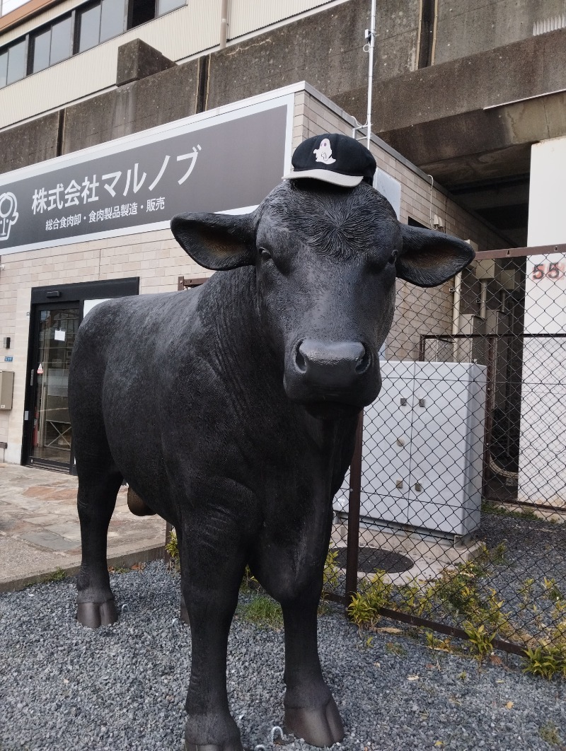 へむさんの天然温泉 湯～ねるのサ活写真