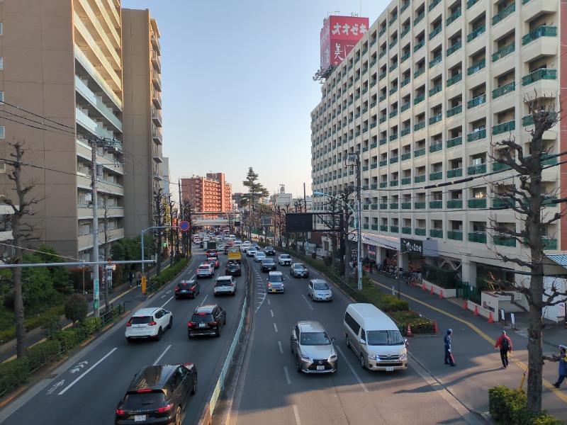 カチュネバ！さんの美しの湯のサ活写真