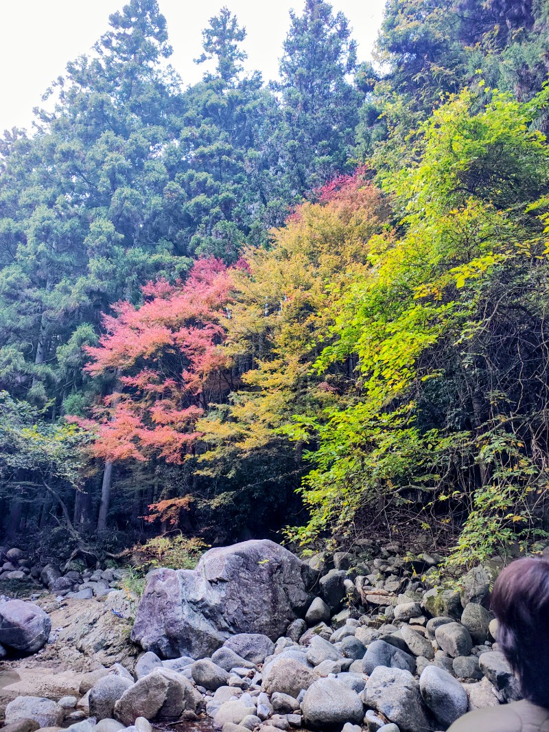 junさんの鈍川せせらぎ交流館のサ活写真