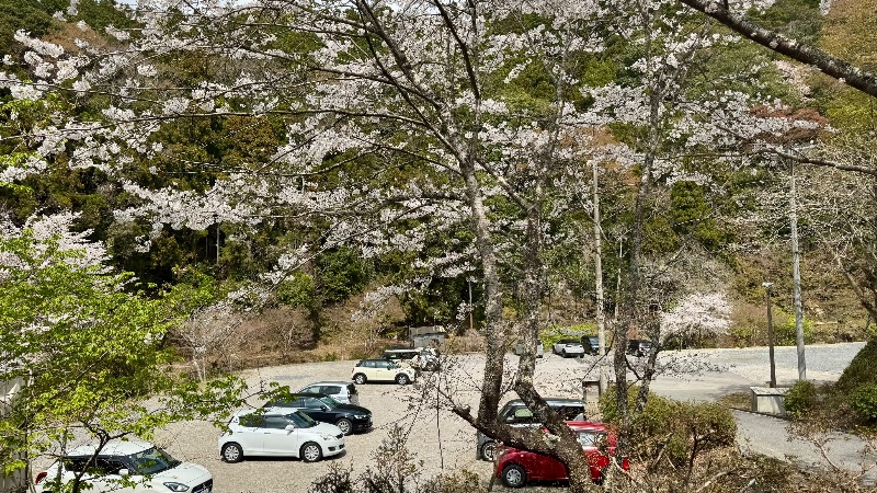 Water Bath Loversさんの滝見苑けんこう村 ごりやくの湯のサ活写真