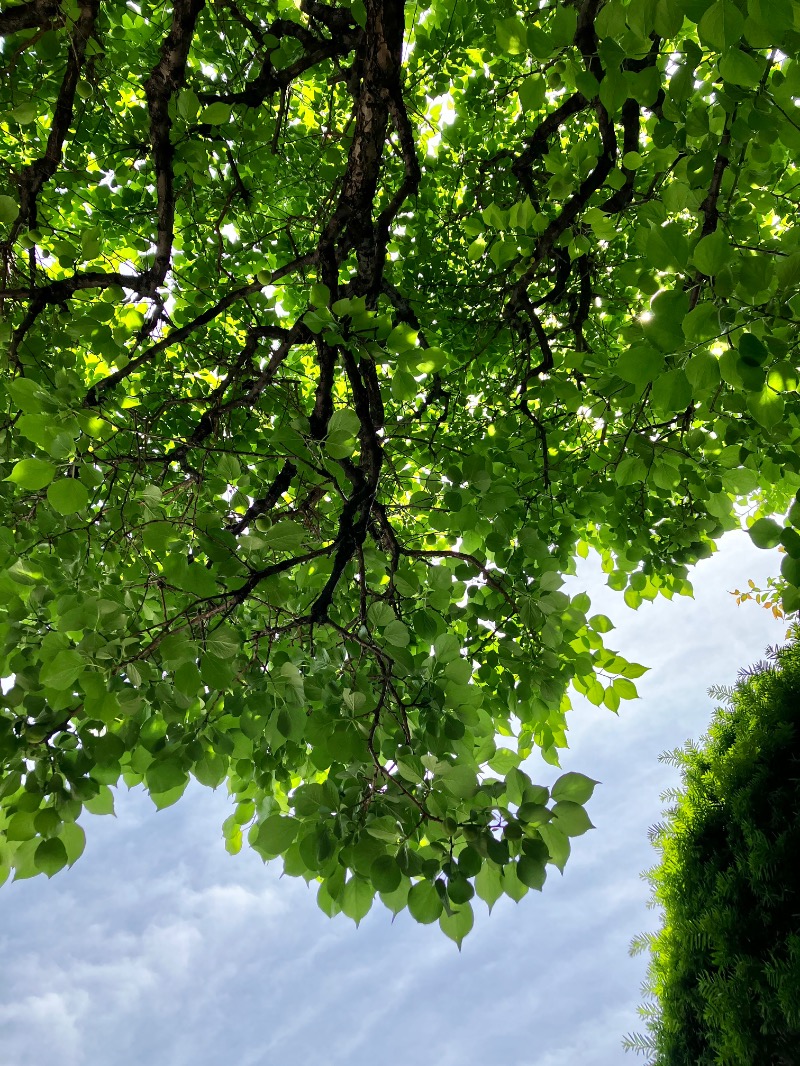 sumuさんのサウナゆげ蔵のサ活写真