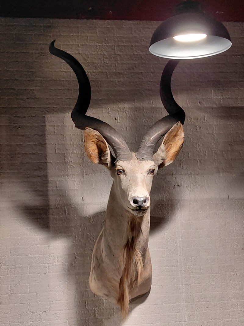 KamiTani 504さんのおでんサウナのサ活写真