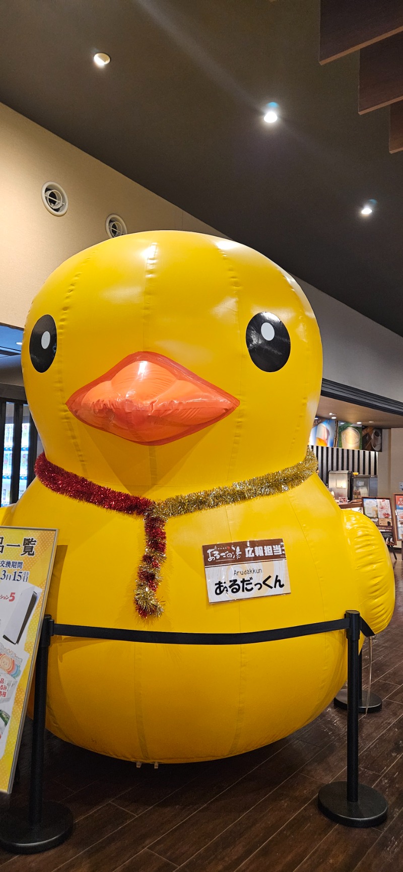 わたゆきさんの神州温泉 あるごの湯のサ活写真