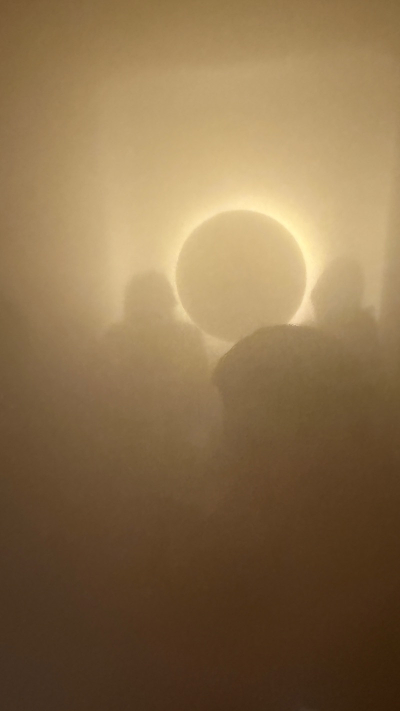 てぃーが🐯さんのSAUNA汽汽のサ活写真