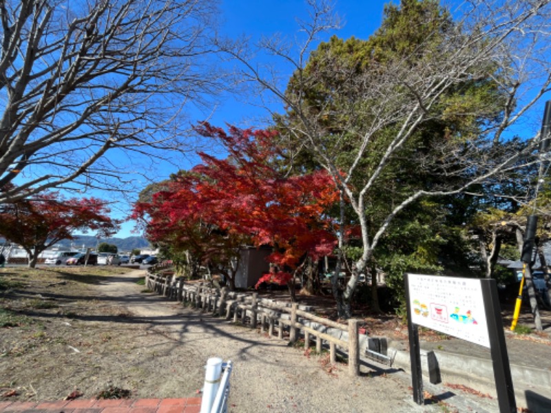 つなしさんの水口温泉つばきの湯のサ活写真