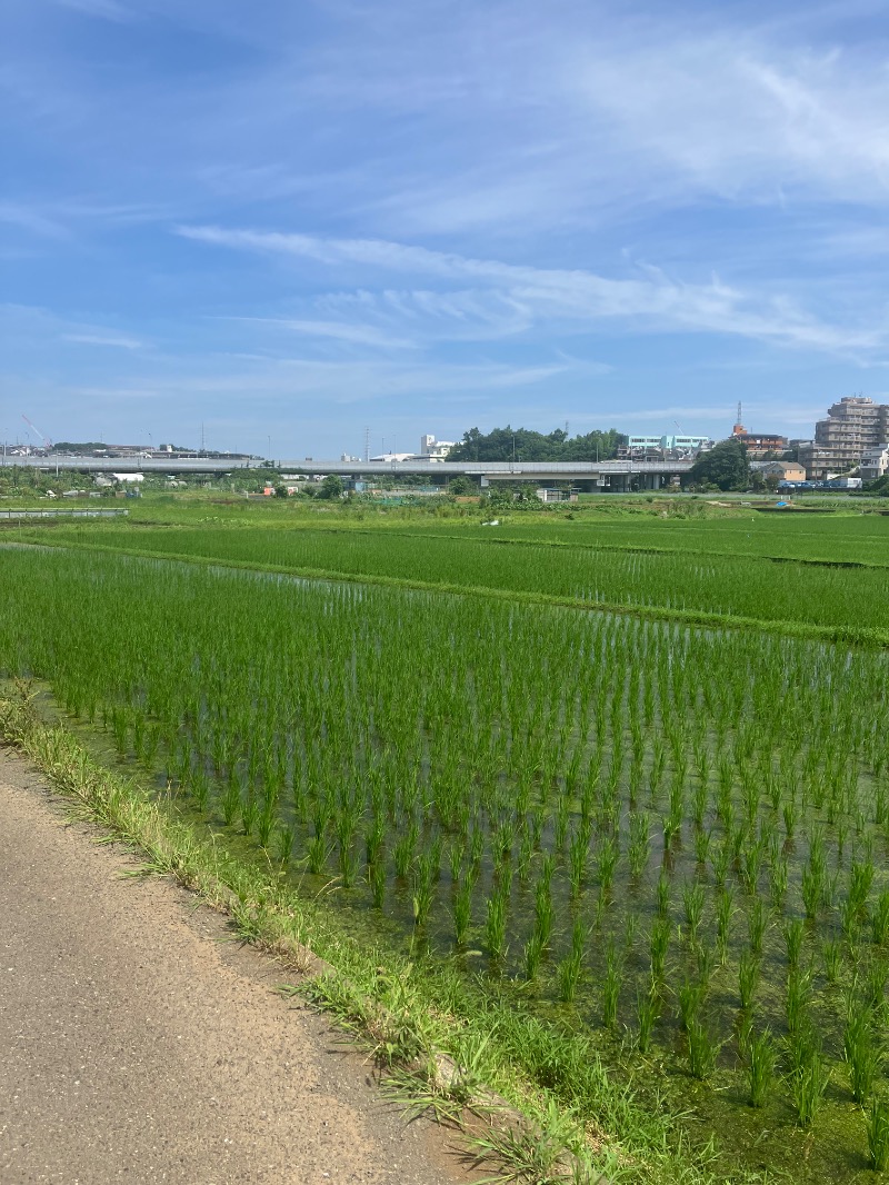 ささ湯さんのヨコヤマユーランド緑のサ活写真