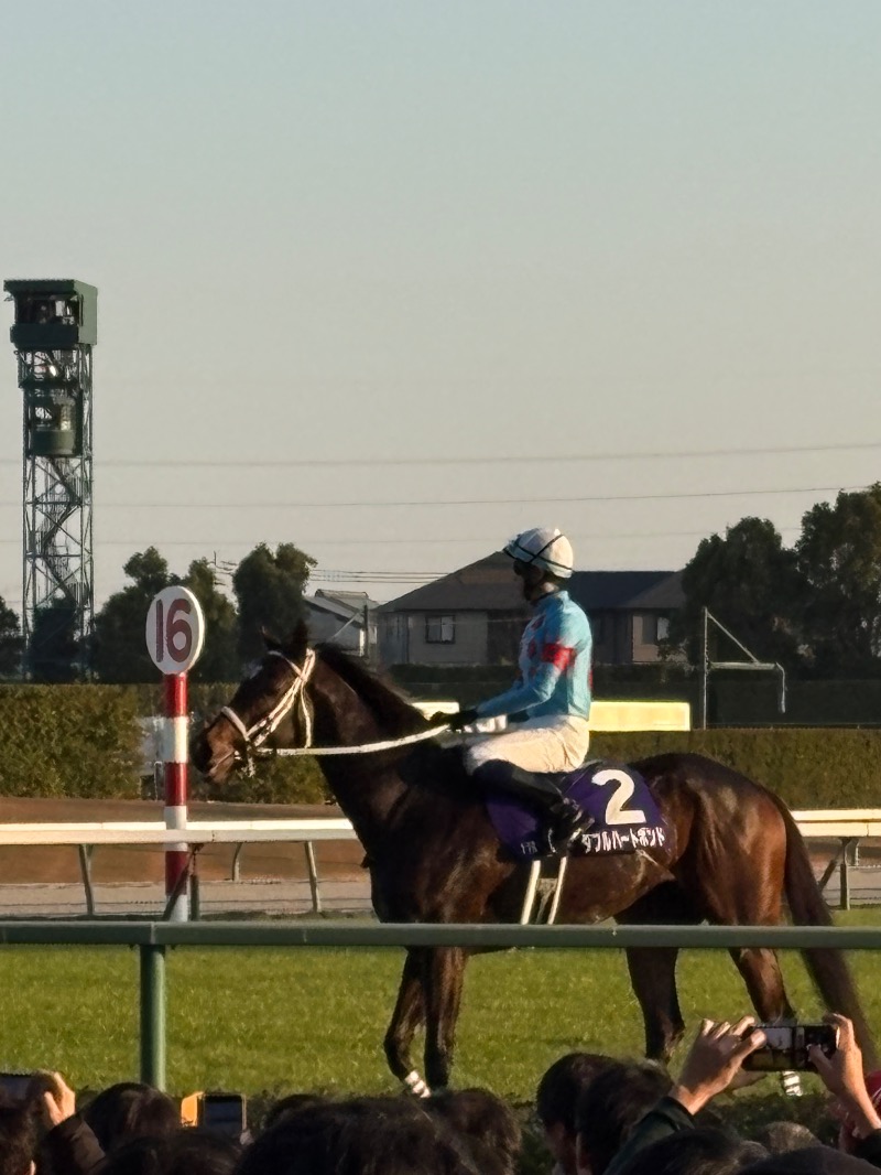 ささ湯さんの大曽根温泉 湯の城のサ活写真