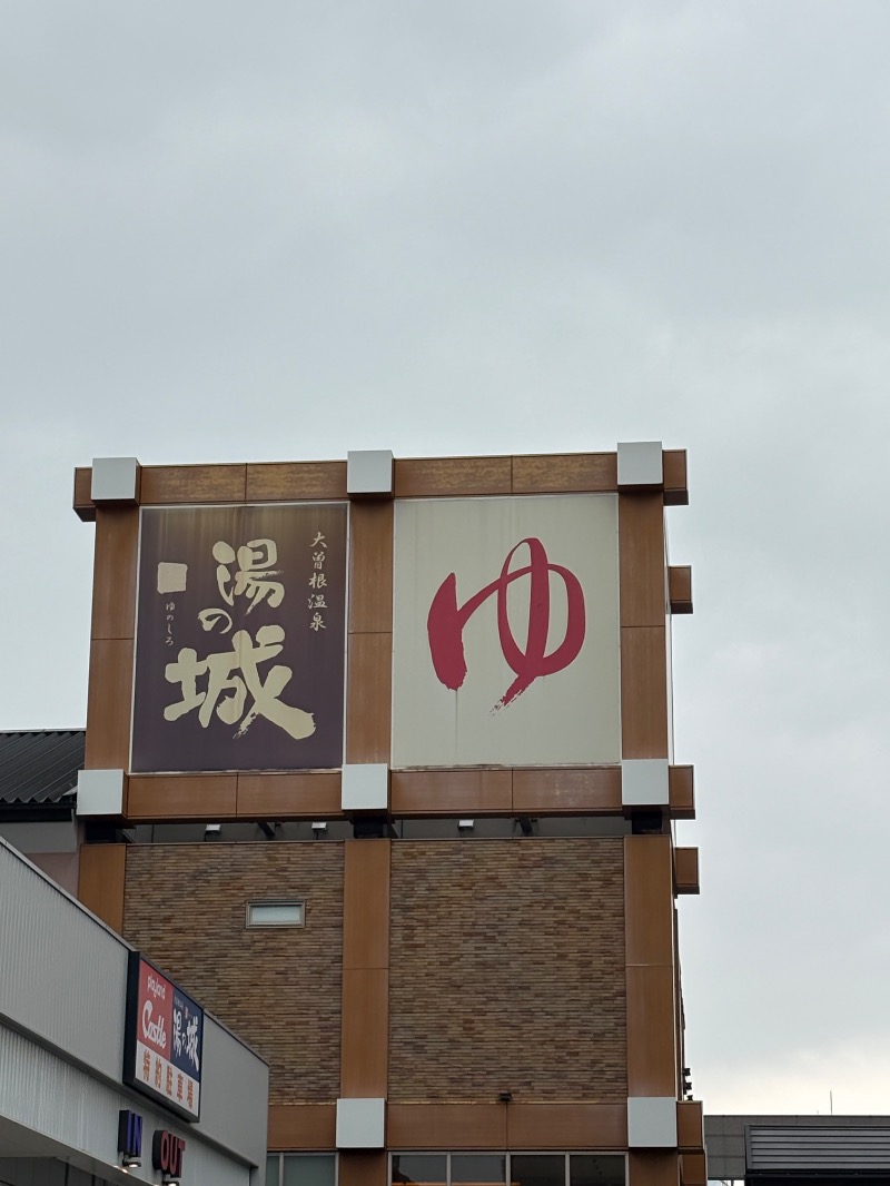 ささ湯さんの大曽根温泉 湯の城のサ活写真