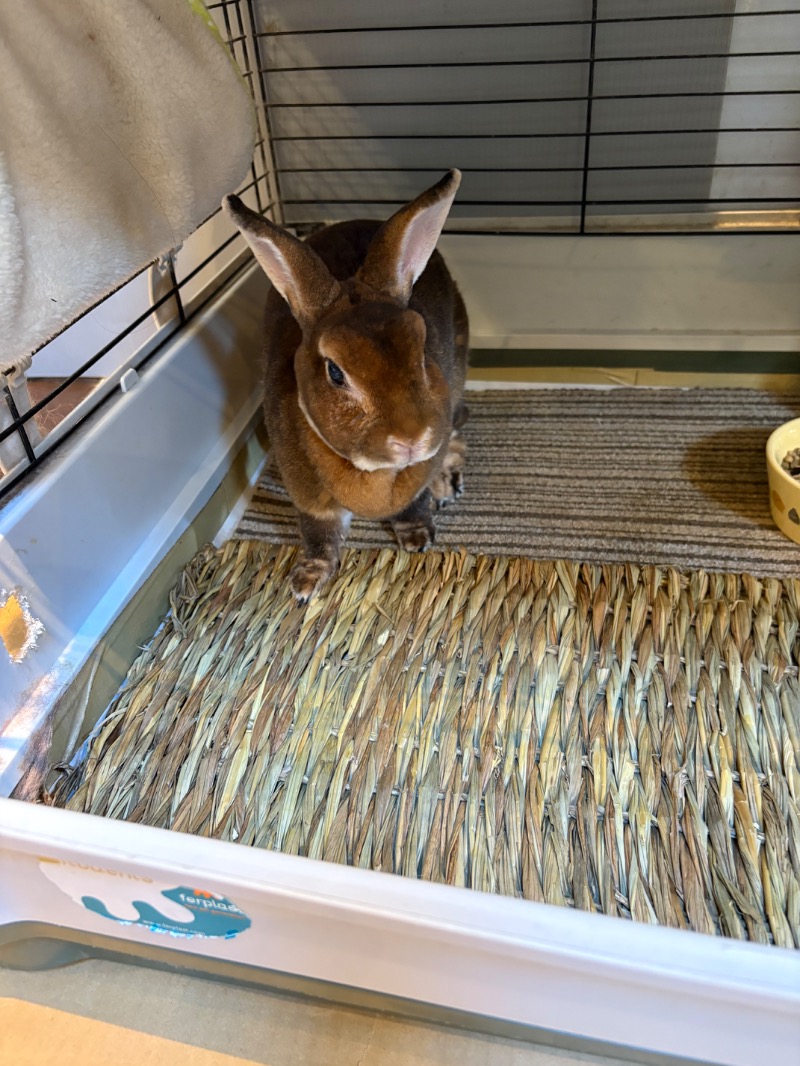 ささ湯さんの深大寺天然温泉 湯守の里のサ活写真