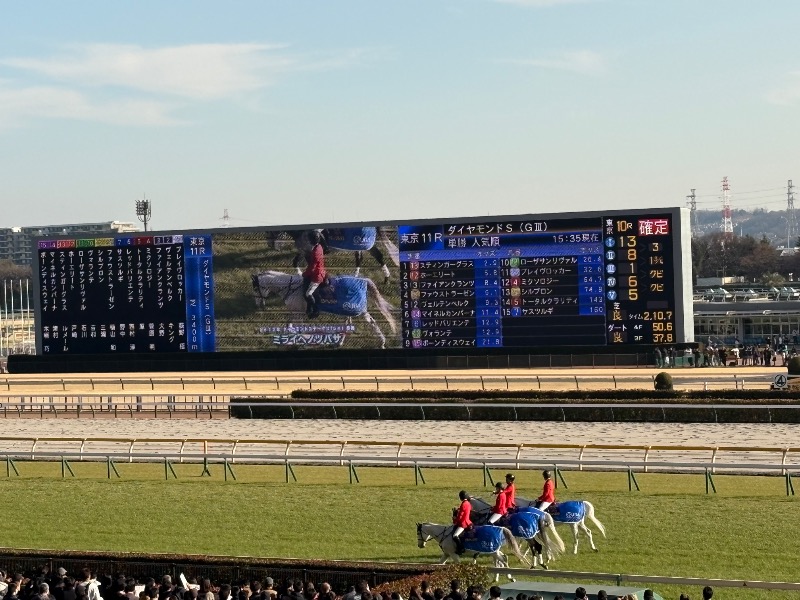 ささ湯さんの府中湯楽館 桜湯のサ活写真