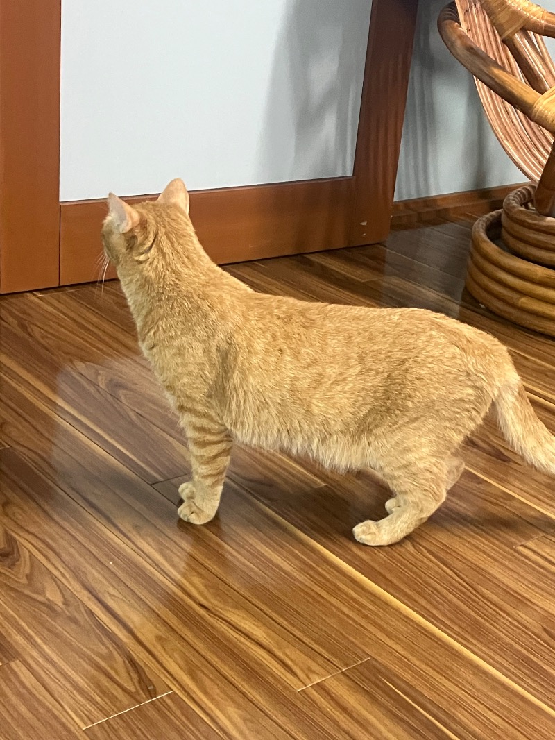 ささ湯さんのこおりやま駅前サウナ24のサ活写真