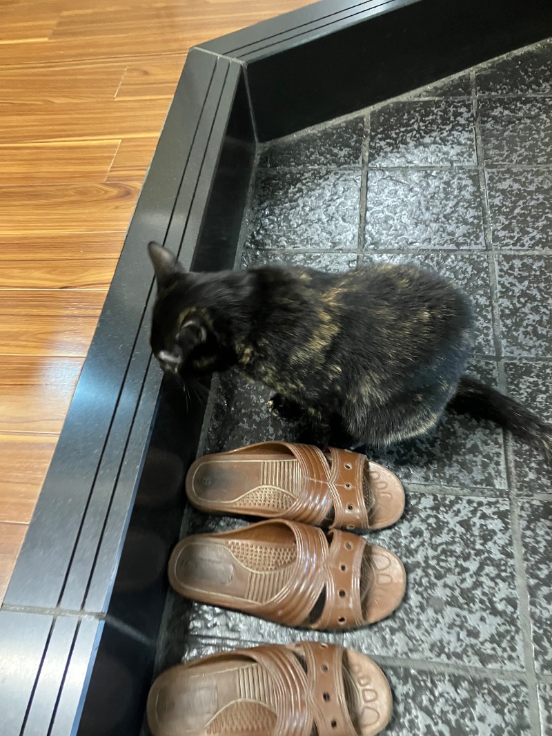 ささ湯さんのこおりやま駅前サウナ24のサ活写真