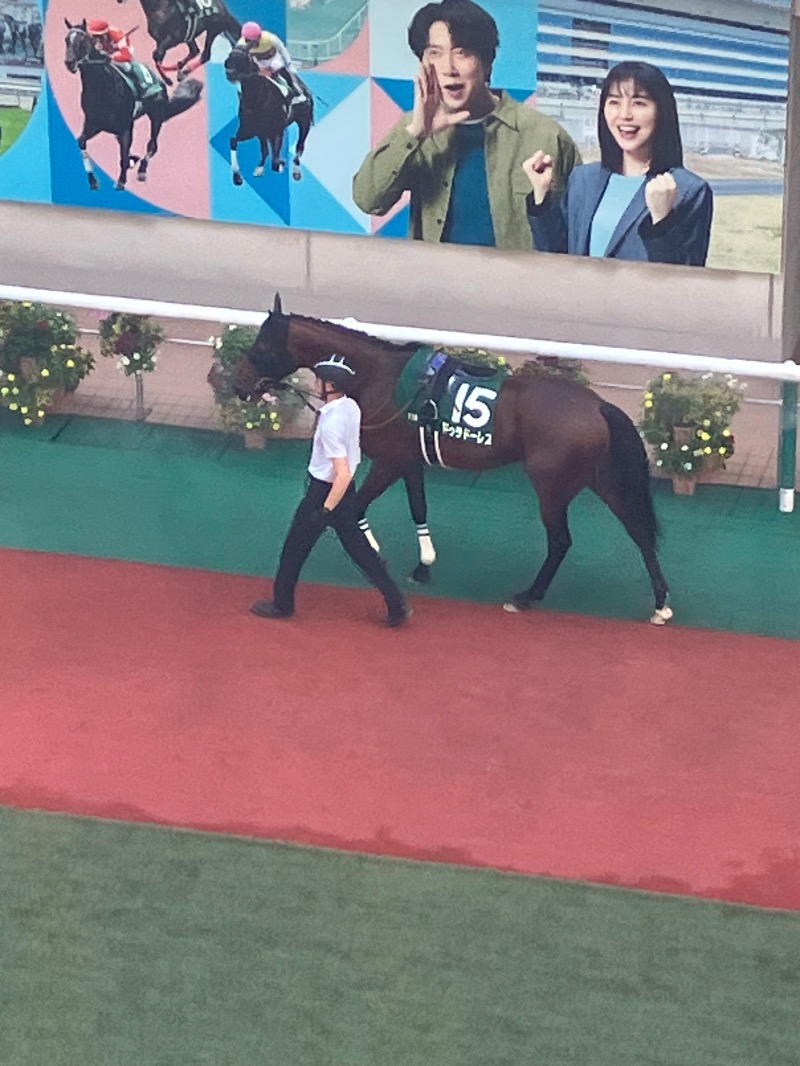 ささ湯さんのこおりやま駅前サウナ24のサ活写真