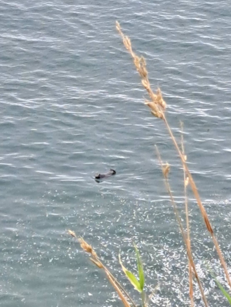 MR.SAUNAさんの浜中町ふれあい交流・保養センター 霧多布温泉 ゆうゆのサ活写真